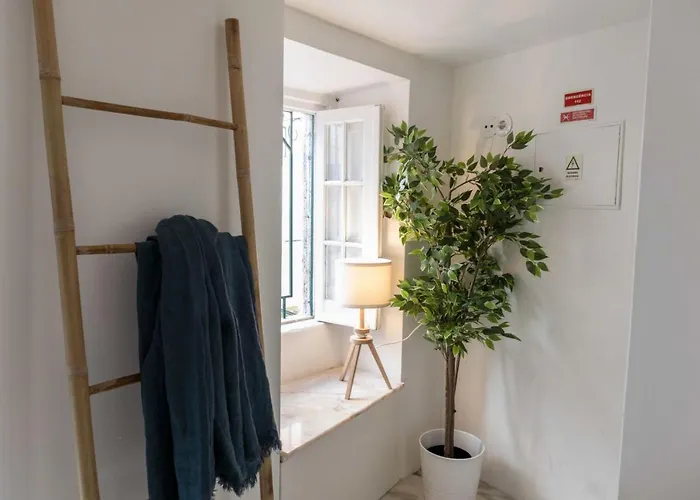 Beautiful 1 Bedroom In Lisboa
